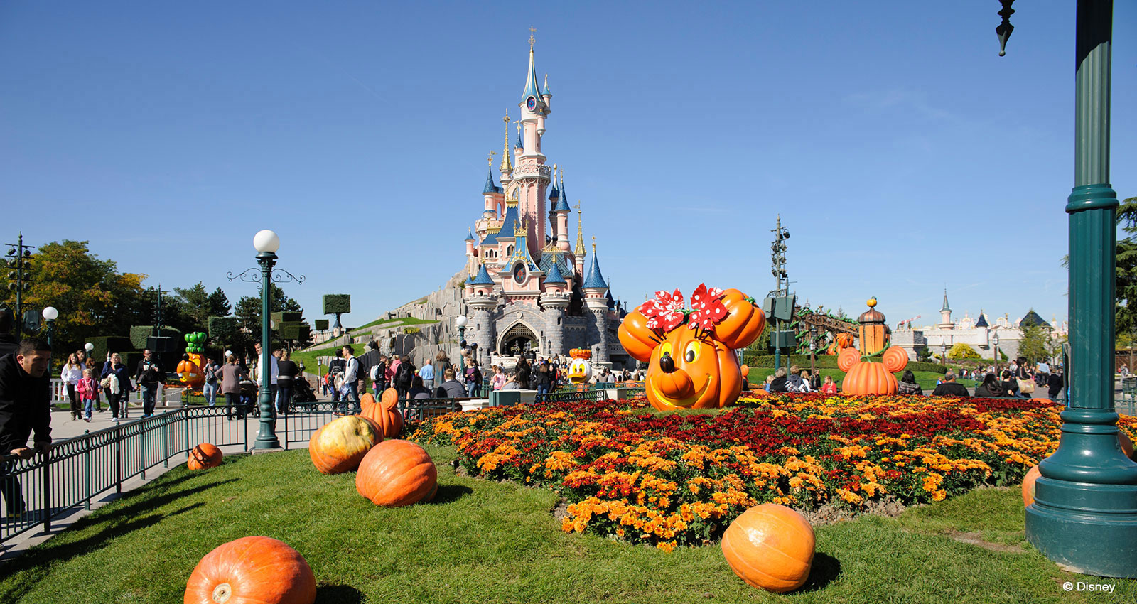 DLP BOOK CHRISTMAS SPECIAL OFFER! Imagine staying just steps away from world-famous theme parks and an array of shopping, dining and entertainment options. That's exactly what you can expect when you stay at the Resort Hotels at Walt Disney World Resort in Florida or Disneyland Resort in California. Walt Disney World Resort in.